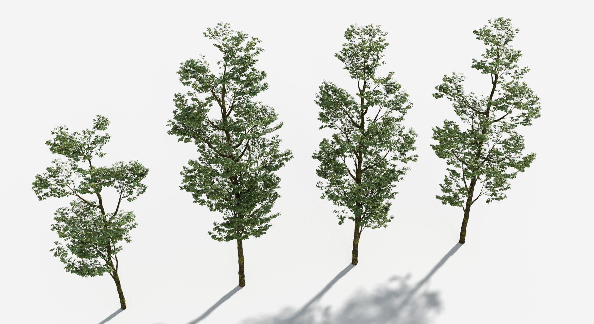 Rainforest Collection 3D https://p.turbosquid.com/ts-thumb/GL/V2msr4/7c/tree_032/jpg/1623161367/1920x1080/fit_q87/e5467f6f8d668270acc04120339be7da7917306d/tree_032.jpg