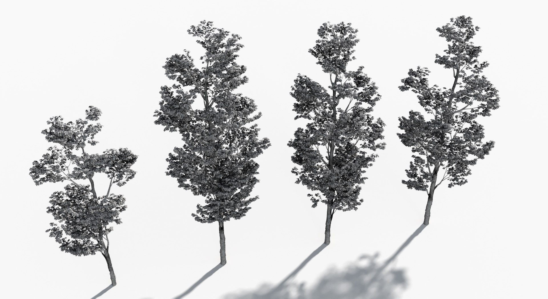 Rainforest Collection 3D https://p.turbosquid.com/ts-thumb/GL/V2msr4/9G/tree_033/jpg/1623161367/1920x1080/fit_q87/b6c440cf8bf1ae7bf12a0af11aad2dfd12d740ef/tree_033.jpg
