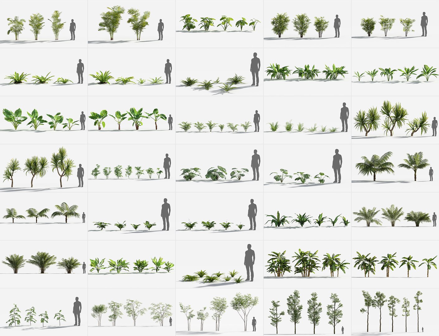 Rainforest Collection 3D https://p.turbosquid.com/ts-thumb/GL/V2msr4/IQ/_rainforest_render_gallery/jpg/1623139036/1920x1080/fit_q87/a88f50fda5dd240b068407bbbb17e9e06967f123/_rainforest_render_gallery.jpg
