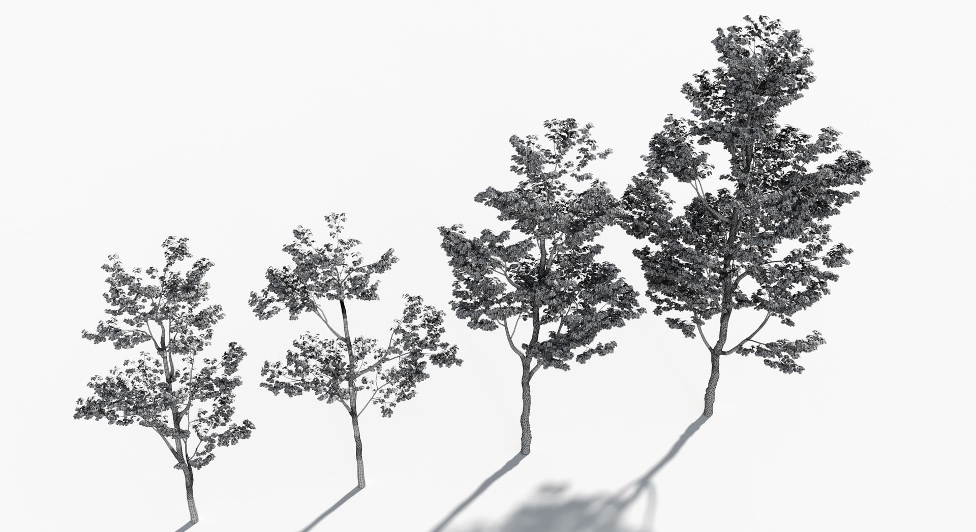 Rainforest Collection 3D https://p.turbosquid.com/ts-thumb/GL/V2msr4/La/tree_036/jpg/1623161351/1920x1080/fit_q87/826adc2d820c5cda4b1cb6b7e3395591b6c9683f/tree_036.jpg