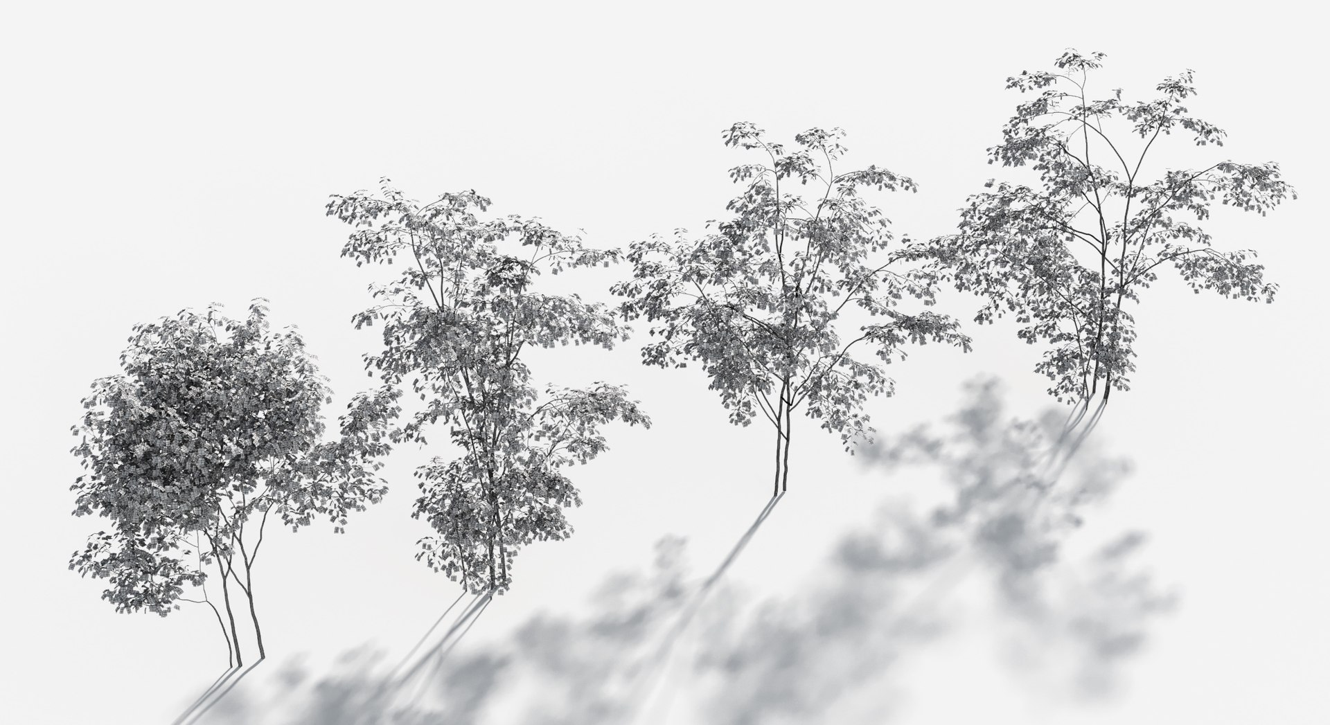 Rainforest Collection 3D https://p.turbosquid.com/ts-thumb/GL/V2msr4/P5/tree_021b/jpg/1623161358/1920x1080/fit_q87/6c642b01897a204b0a94566a018b399ddbbc2ea1/tree_021b.jpg