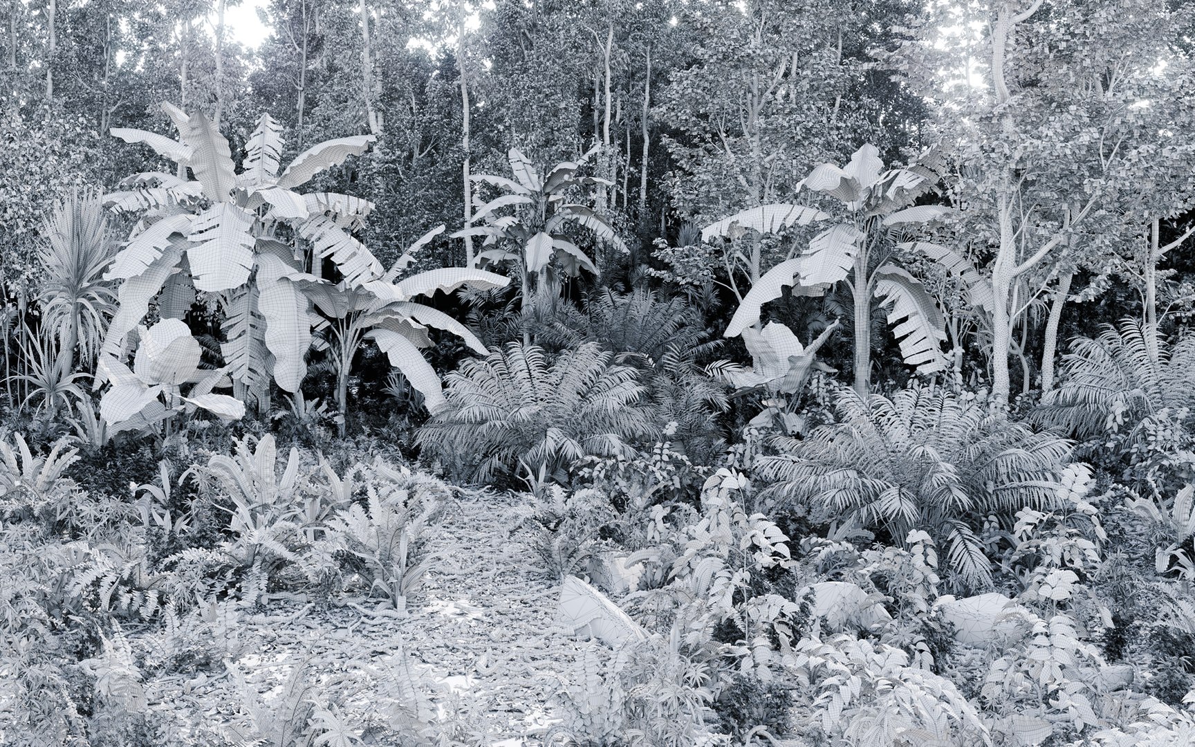 Rainforest Collection 3D https://p.turbosquid.com/ts-thumb/GL/V2msr4/Q0/_rainforest_render_wire/jpg/1623138168/1920x1080/fit_q87/02b5d6108e4619ad19661f467c97bac0ecc67410/_rainforest_render_wire.jpg