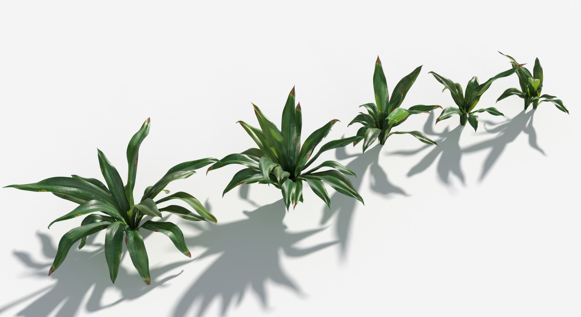 Rainforest Collection 3D https://p.turbosquid.com/ts-thumb/GL/V2msr4/RJ/sacred_lilly2/jpg/1623161348/1920x1080/fit_q87/d55eb0acb7265c0ea18aa522d294d1f3af834170/sacred_lilly2.jpg