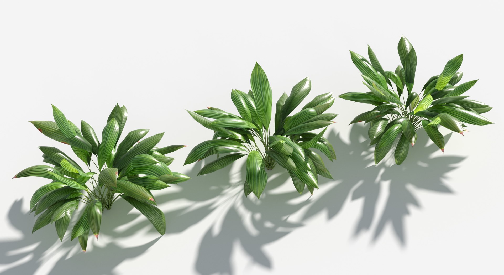 Rainforest Collection 3D https://p.turbosquid.com/ts-thumb/GL/V2msr4/Wj/giant_palm_grass2/jpg/1623161371/1920x1080/fit_q87/d896521b5d2a92f1301a3676a3742332230593e9/giant_palm_grass2.jpg