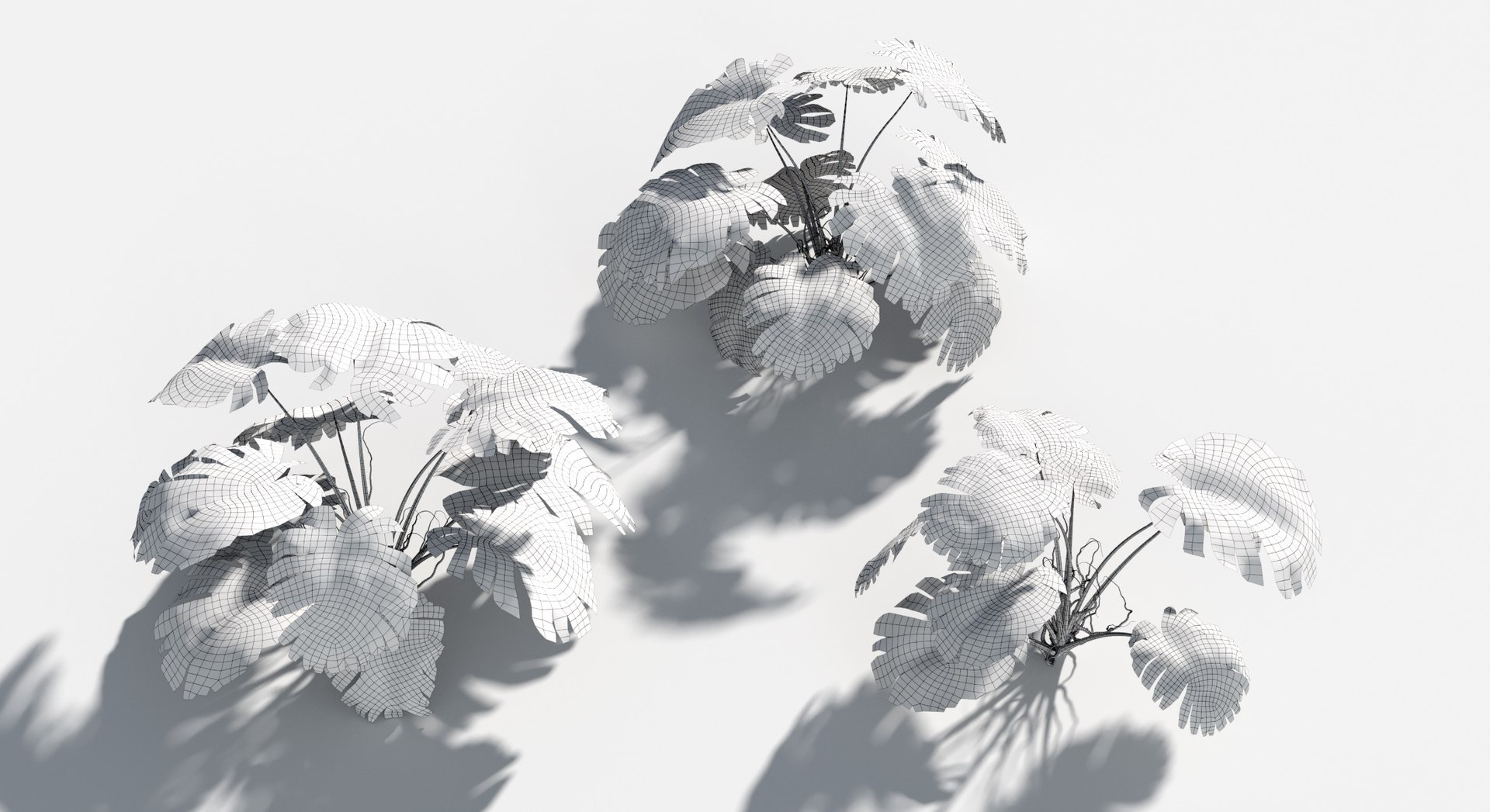 Rainforest Collection 3D https://p.turbosquid.com/ts-thumb/GL/V2msr4/Xm/monstera5/jpg/1623161357/1920x1080/fit_q87/3327de2598dc30db18b1384c08b236d86e9365ee/monstera5.jpg
