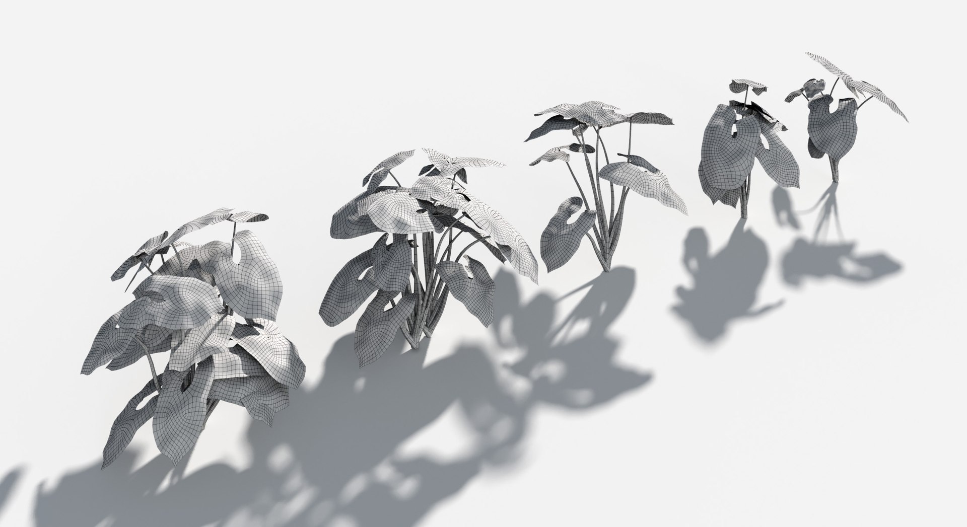 Rainforest Collection 3D https://p.turbosquid.com/ts-thumb/GL/V2msr4/Ye/arrowhead_plant3/jpg/1623161345/1920x1080/fit_q87/38df8734417ca370945e5450956b6cc2402937d7/arrowhead_plant3.jpg