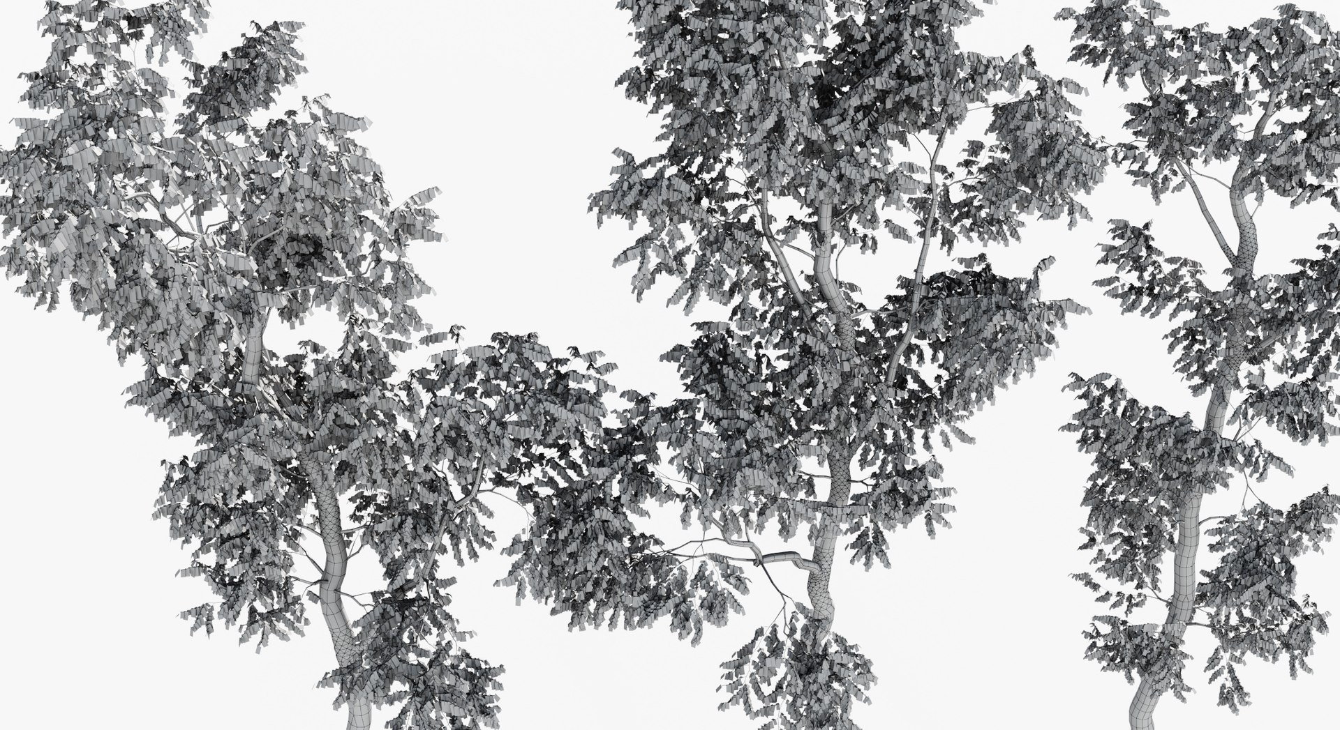Rainforest Collection 3D https://p.turbosquid.com/ts-thumb/GL/V2msr4/a9/tree_043/jpg/1623161387/1920x1080/fit_q87/d73481b7681af6673af80a0a3600ca6bfa75483a/tree_043.jpg
