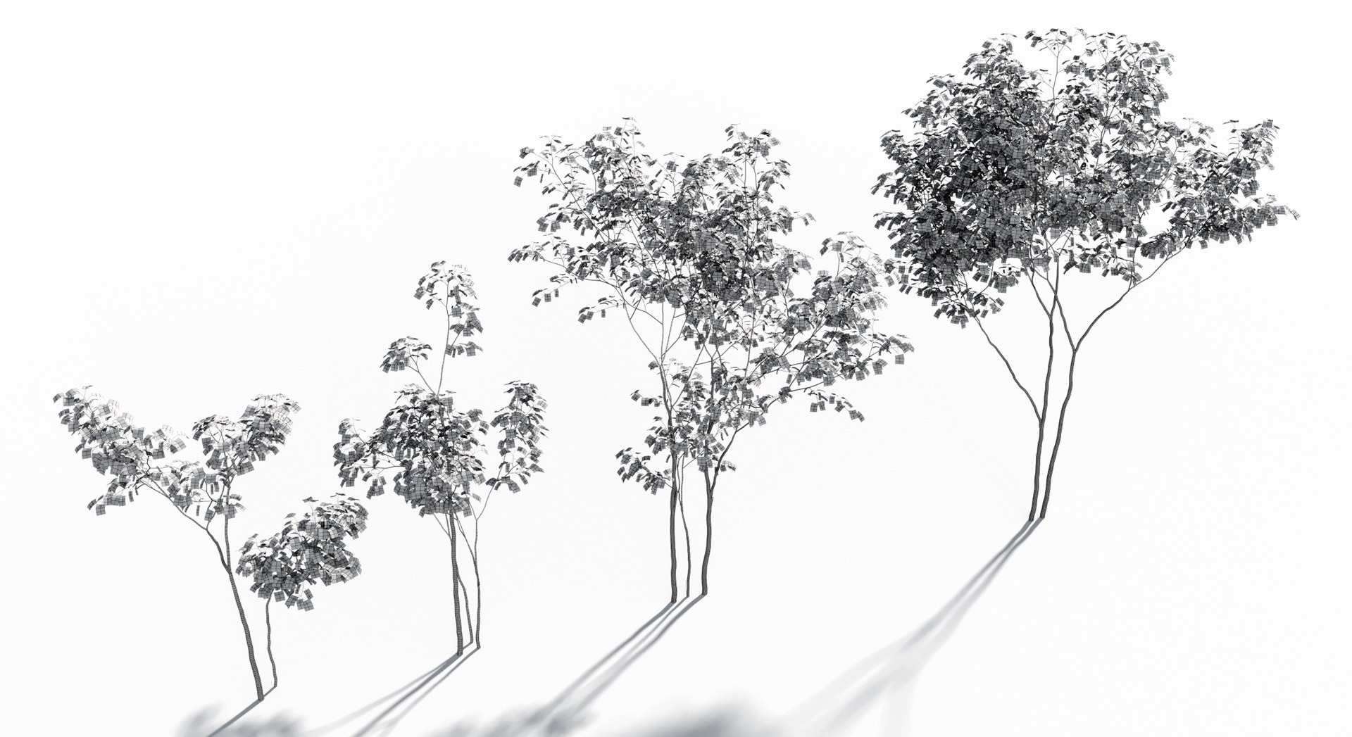 Rainforest Collection 3D https://p.turbosquid.com/ts-thumb/GL/V2msr4/bV/tree_022b/jpg/1623161350/1920x1080/fit_q87/a992be9929f63c3fe8c70beac7f52dbba7ccf67b/tree_022b.jpg