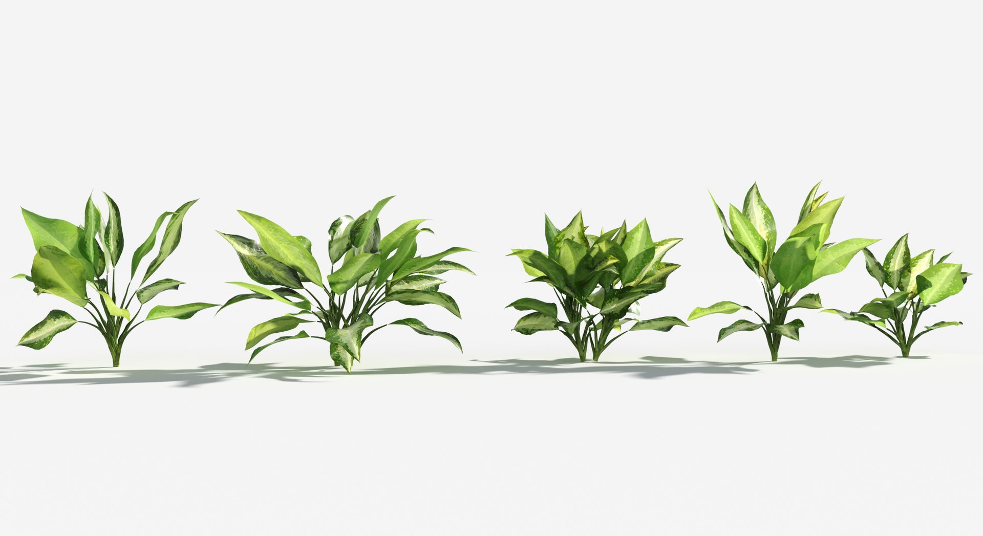 Rainforest Collection 3D https://p.turbosquid.com/ts-thumb/GL/V2msr4/bw/silver_bay1/jpg/1623138029/1920x1080/fit_q87/e721c1140f577236ab0f718f6d61bccfcfc1a749/silver_bay1.jpg