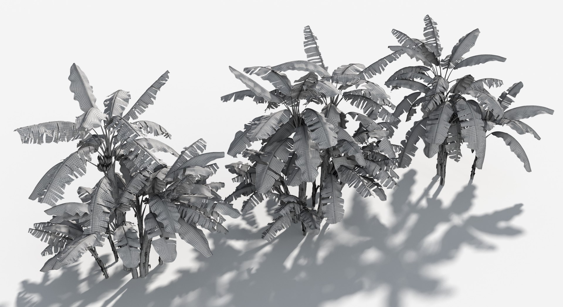Rainforest Collection 3D https://p.turbosquid.com/ts-thumb/GL/V2msr4/cJ/edible_banana4/jpg/1623161370/1920x1080/fit_q87/3f5ecef6ff013e846fe526276a0790a36f6086da/edible_banana4.jpg