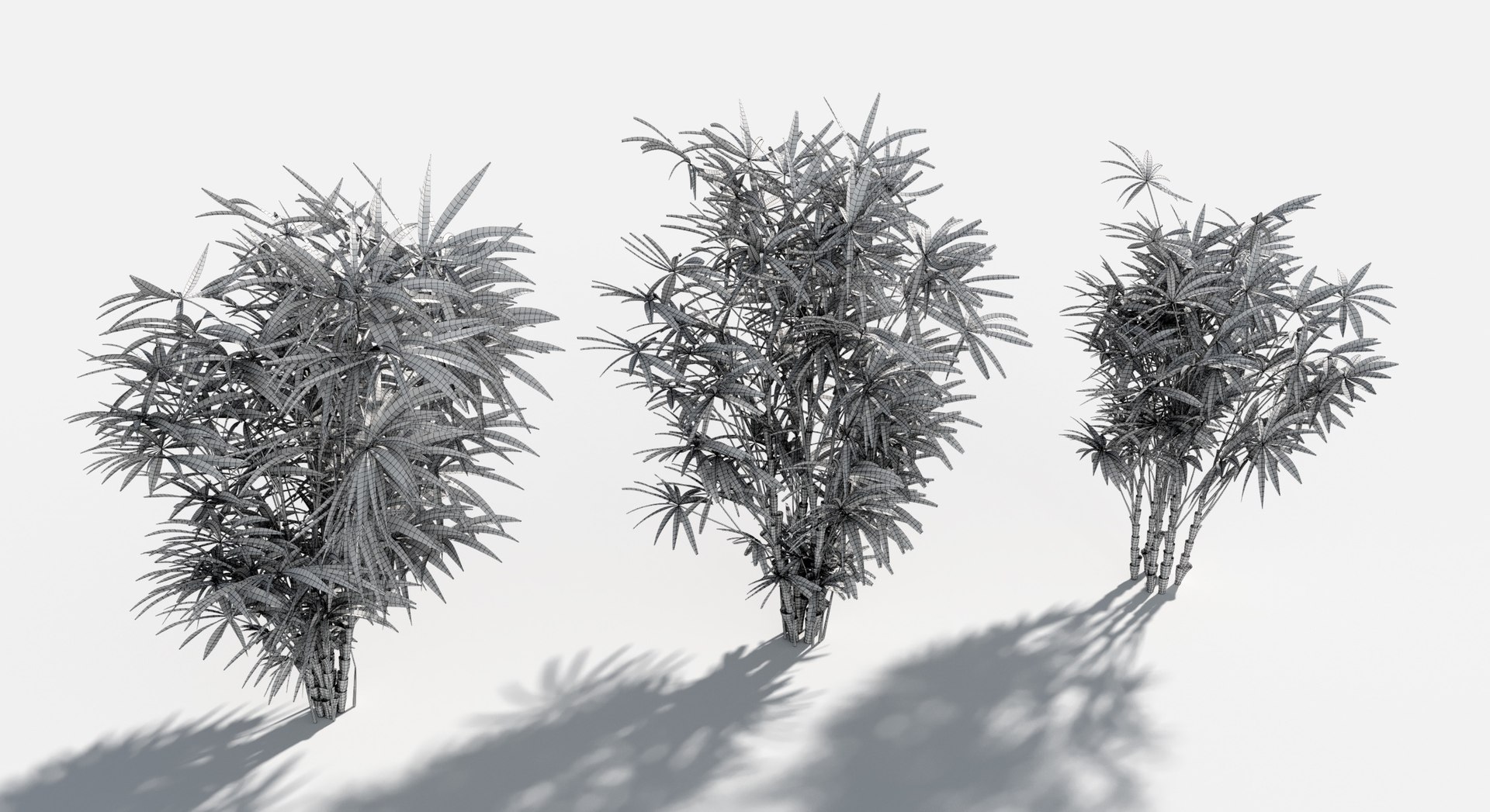 Rainforest Collection 3D https://p.turbosquid.com/ts-thumb/GL/V2msr4/ce/bamboopalm4/jpg/1623161353/1920x1080/fit_q87/fa4a8618128d8f7182e30274203d8f6a6dd7ecec/bamboopalm4.jpg