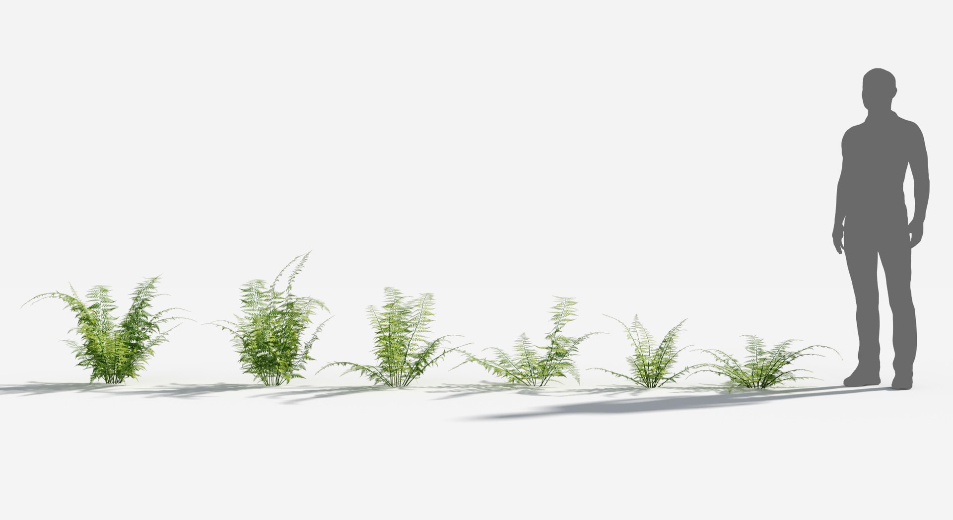 Rainforest Collection 3D https://p.turbosquid.com/ts-thumb/GL/V2msr4/dl/lans_fern1/jpg/1623138065/1920x1080/fit_q87/039196167c114ba931135867388a27d9c87e3a1d/lans_fern1.jpg