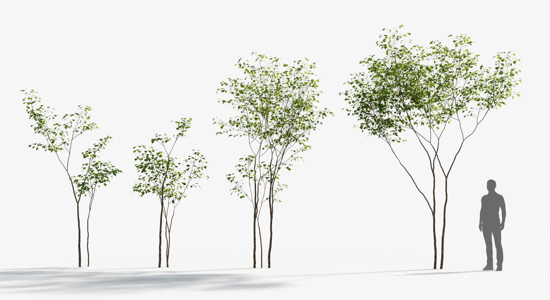 Rainforest Collection 3D https://p.turbosquid.com/ts-thumb/GL/V2msr4/fN/tree_023/jpg/1623138897/1920x1080/fit_q87/f3e2760019599d6d4ceee2007fedd46d2da2f422/tree_023.jpg