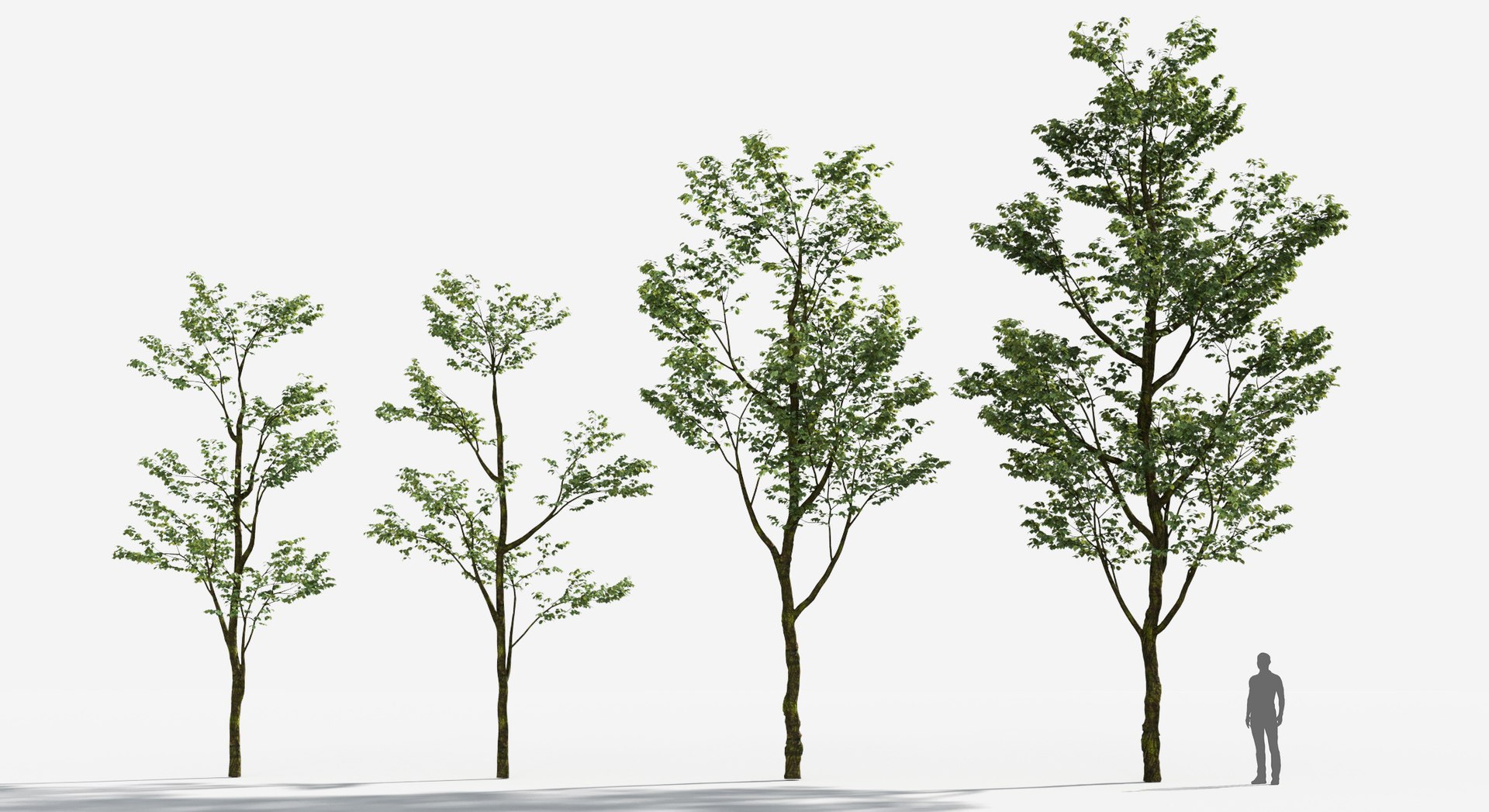 Rainforest Collection 3D https://p.turbosquid.com/ts-thumb/GL/V2msr4/gR/tree_034/jpg/1623138934/1920x1080/fit_q87/449c5a8eb732e19039a830c456da39cc4e784fe0/tree_034.jpg