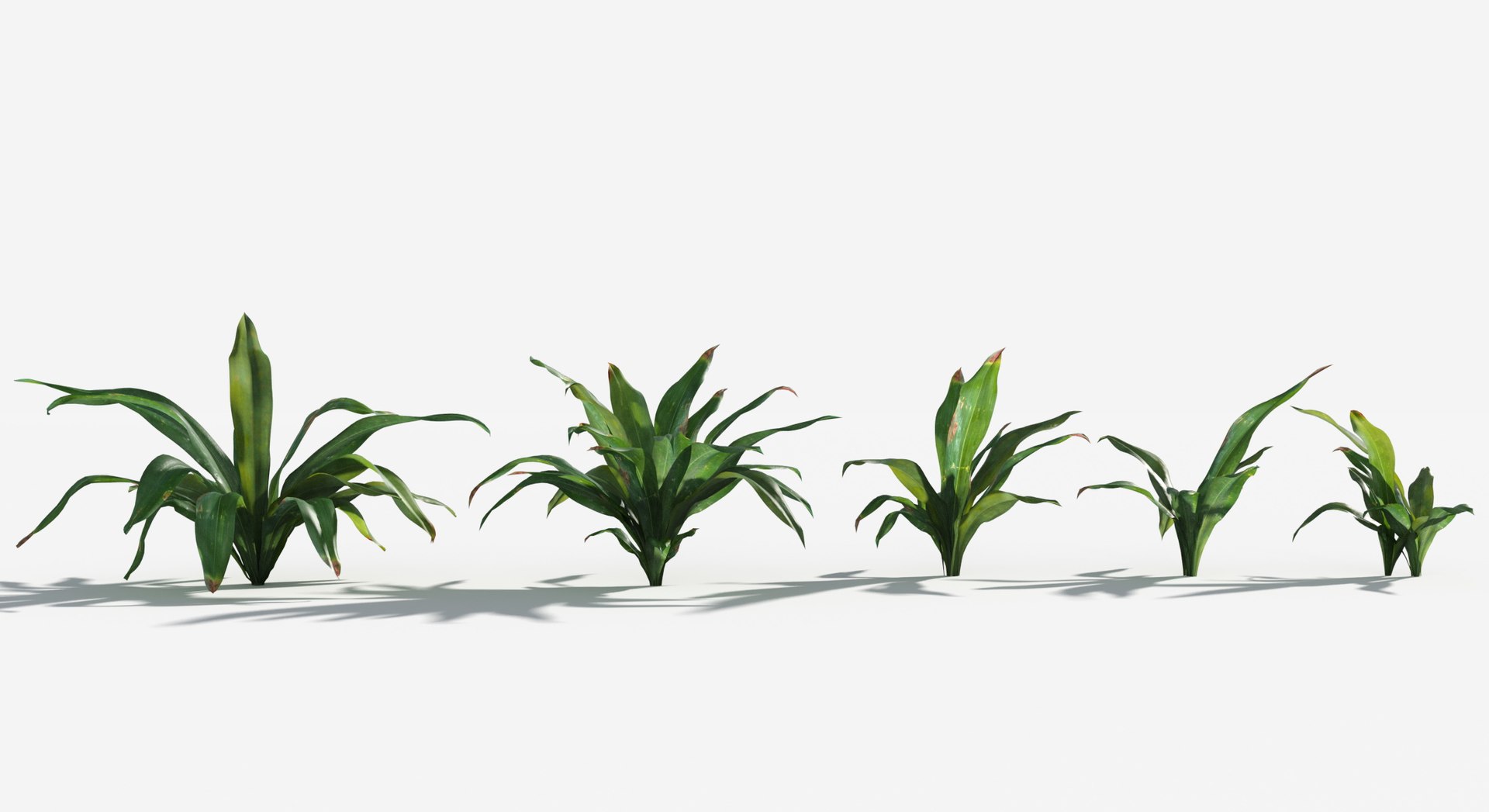Rainforest Collection 3D https://p.turbosquid.com/ts-thumb/GL/V2msr4/pP/sacred_lilly1/jpg/1623138028/1920x1080/fit_q87/0b899d8f5fad27ca711431898eca856fe7287656/sacred_lilly1.jpg