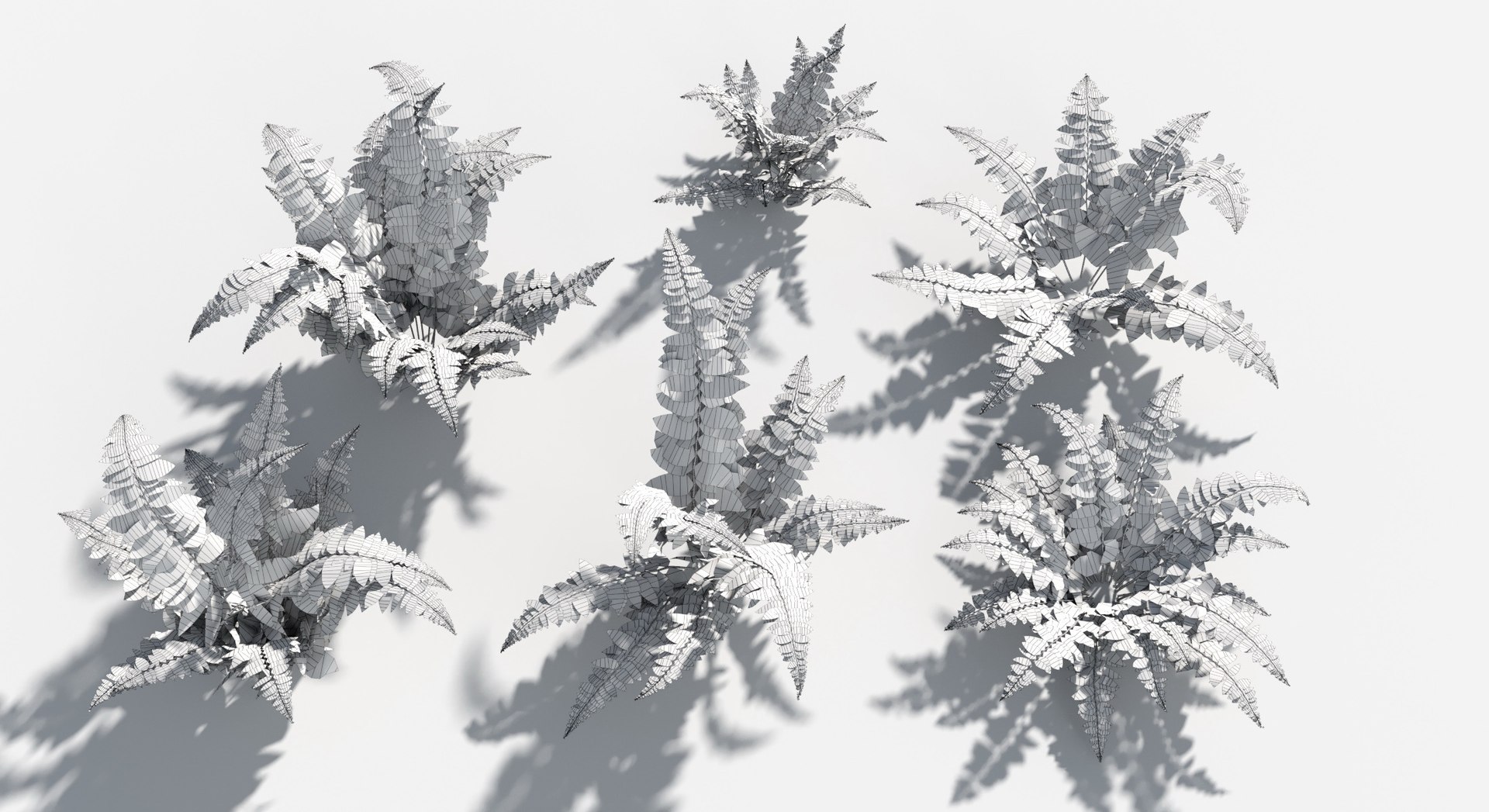 Rainforest Collection 3D https://p.turbosquid.com/ts-thumb/GL/V2msr4/sB/lans_fern3/jpg/1623161375/1920x1080/fit_q87/509afe9df8280eb0d9c49ab08d562cef340d6165/lans_fern3.jpg