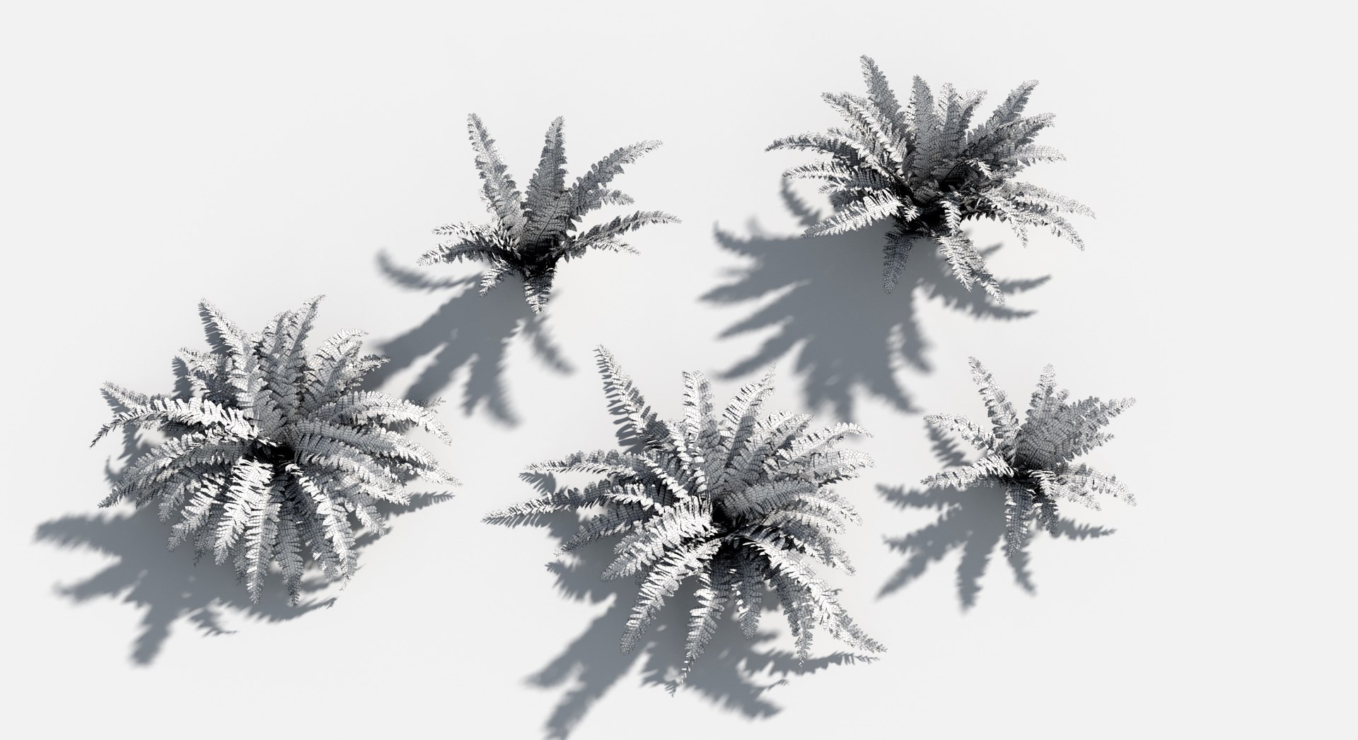 Rainforest Collection 3D https://p.turbosquid.com/ts-thumb/GL/V2msr4/v5/sword_fern3/jpg/1623161349/1920x1080/fit_q87/78ac2a3cc4b19ff140e3b9a32a2deced9c4973f2/sword_fern3.jpg
