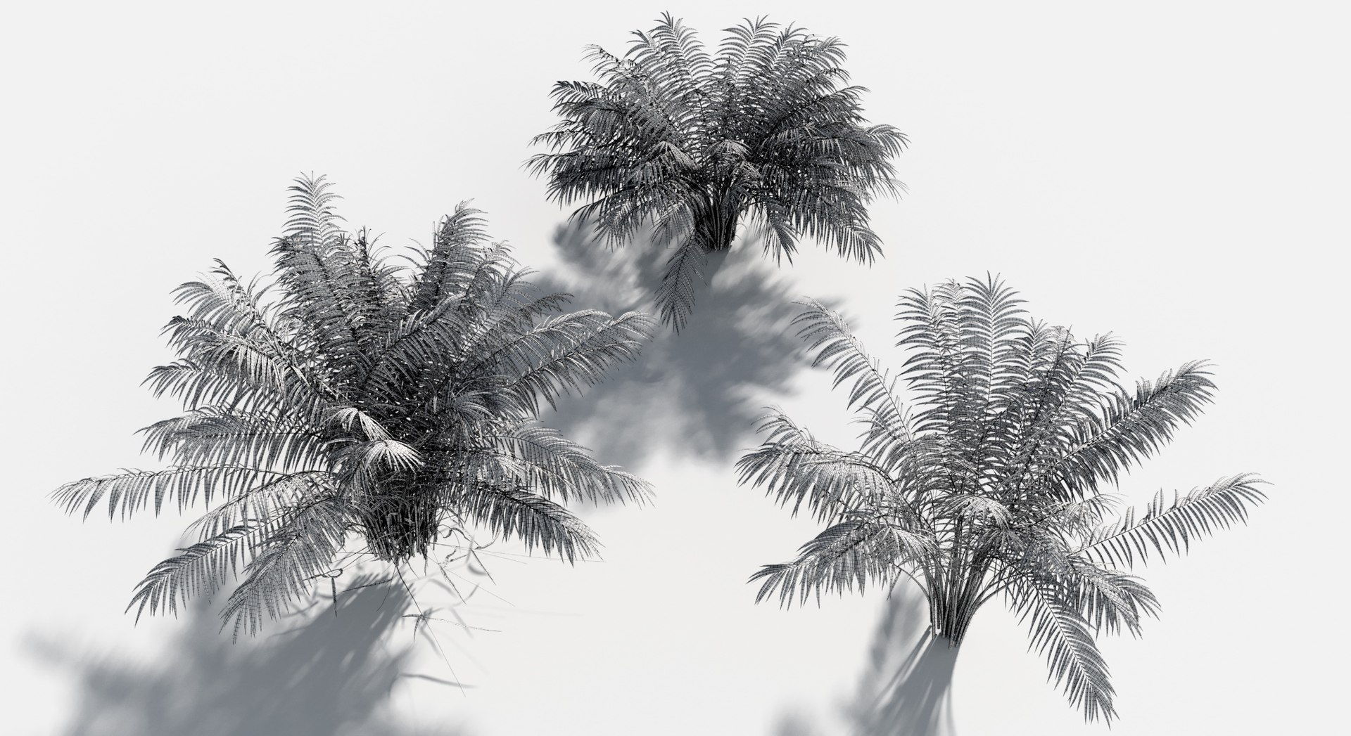 Rainforest Collection 3D https://p.turbosquid.com/ts-thumb/GL/V2msr4/wB/salac_palm4/jpg/1623161376/1920x1080/fit_q87/44799ee010f1e6fa87b1cfc73005f4482570c654/salac_palm4.jpg