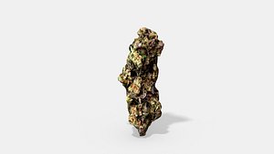 marijuana bud 3 - 3D model