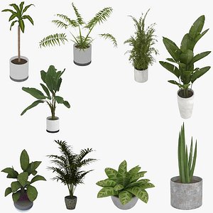 Low-poly Potted Plants Collection