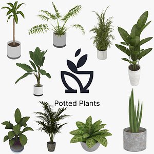 3D Potted Plants Collection