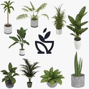3D Potted Plants Collection
