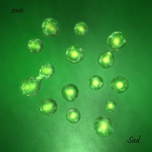 duplication bacteria c4d