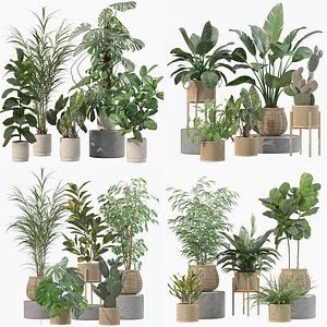 20 Photorealistic Flowers for Interiors - set 202 206 210 214 3D