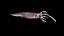Realistyczny model squid 3D