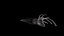 Realistyczny model squid 3D