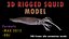 Realistyczny model squid 3D