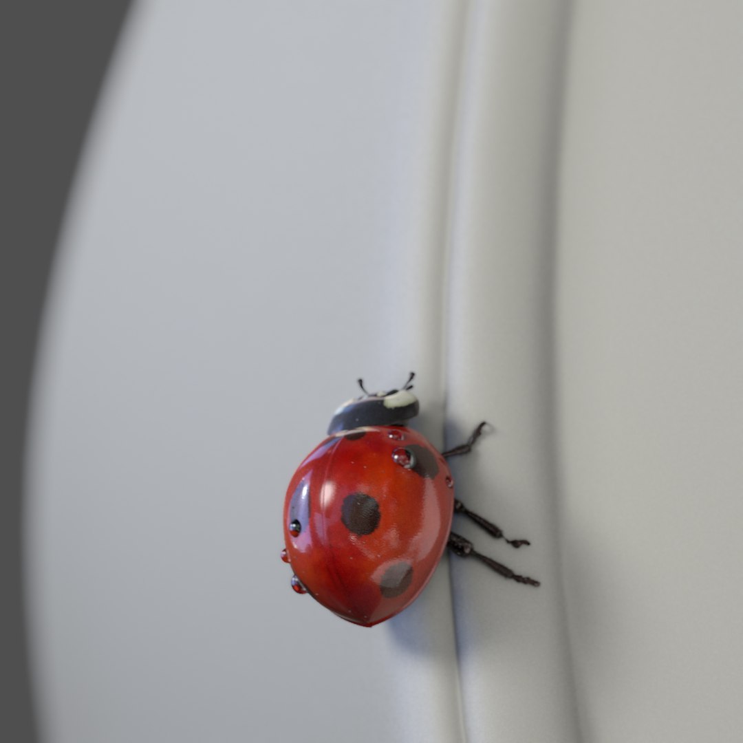 3d Animation Ladybug V-ray Fur Model