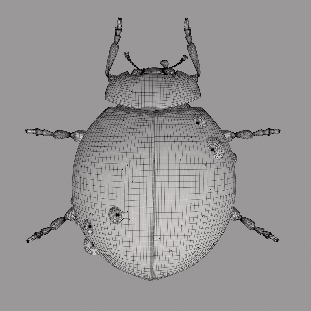 3d animation ladybug v-ray fur model