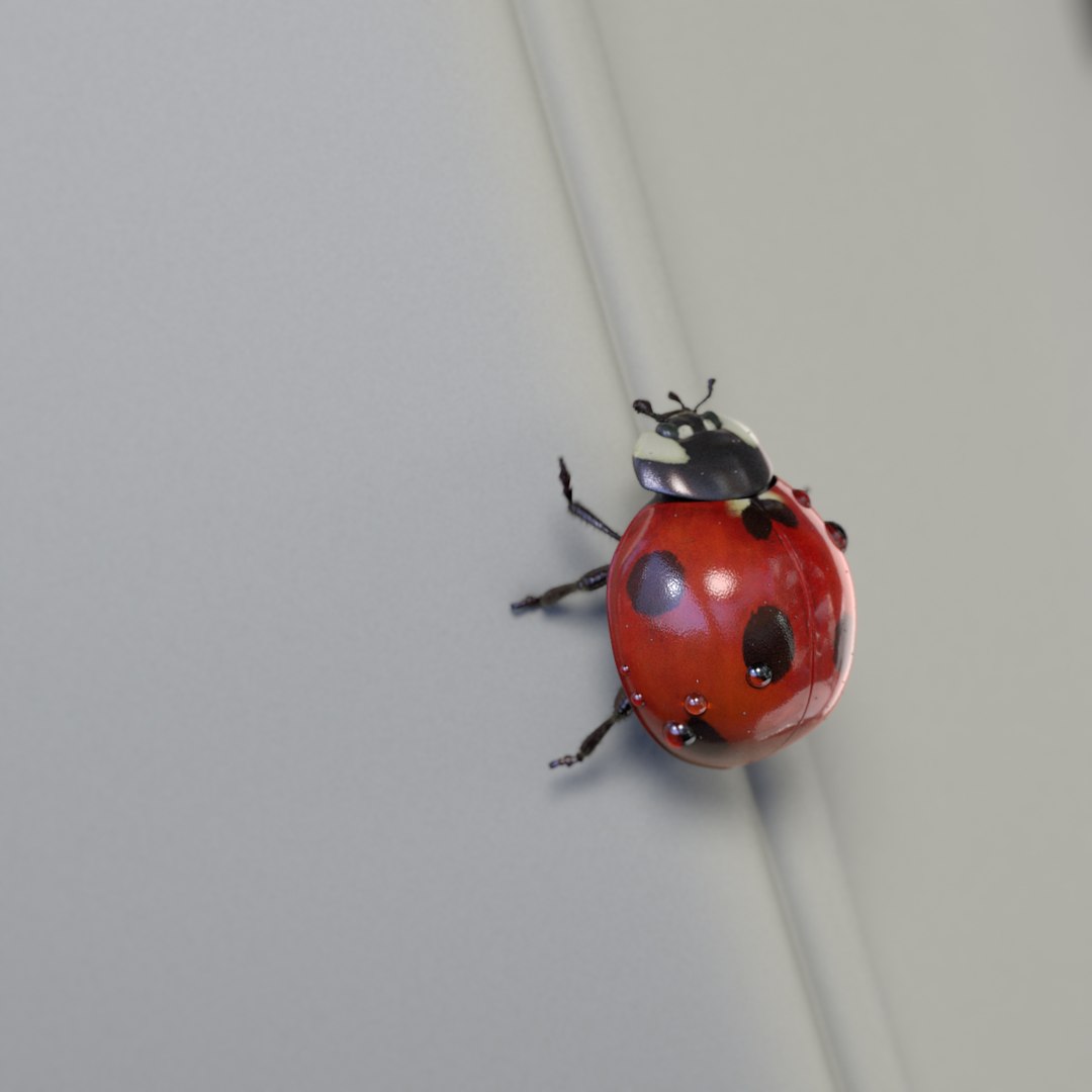 3d Animation Ladybug V-ray Fur Model