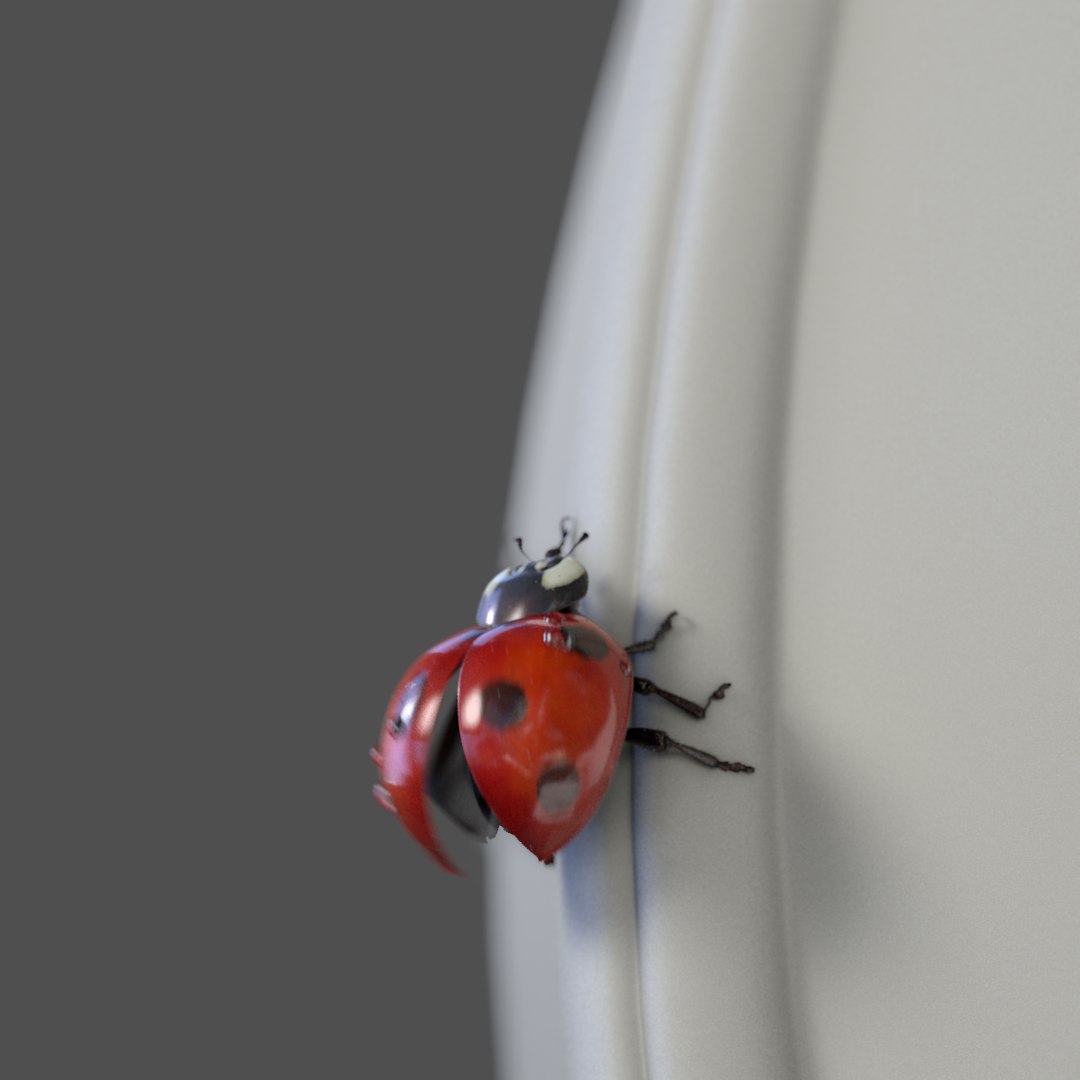 3d Animation Ladybug V-ray Fur Model