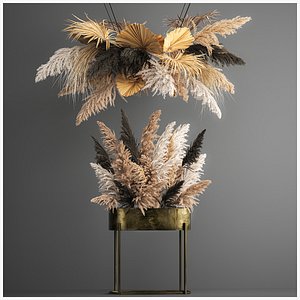 Hanging decor of their dried pampas grass 188 3D model