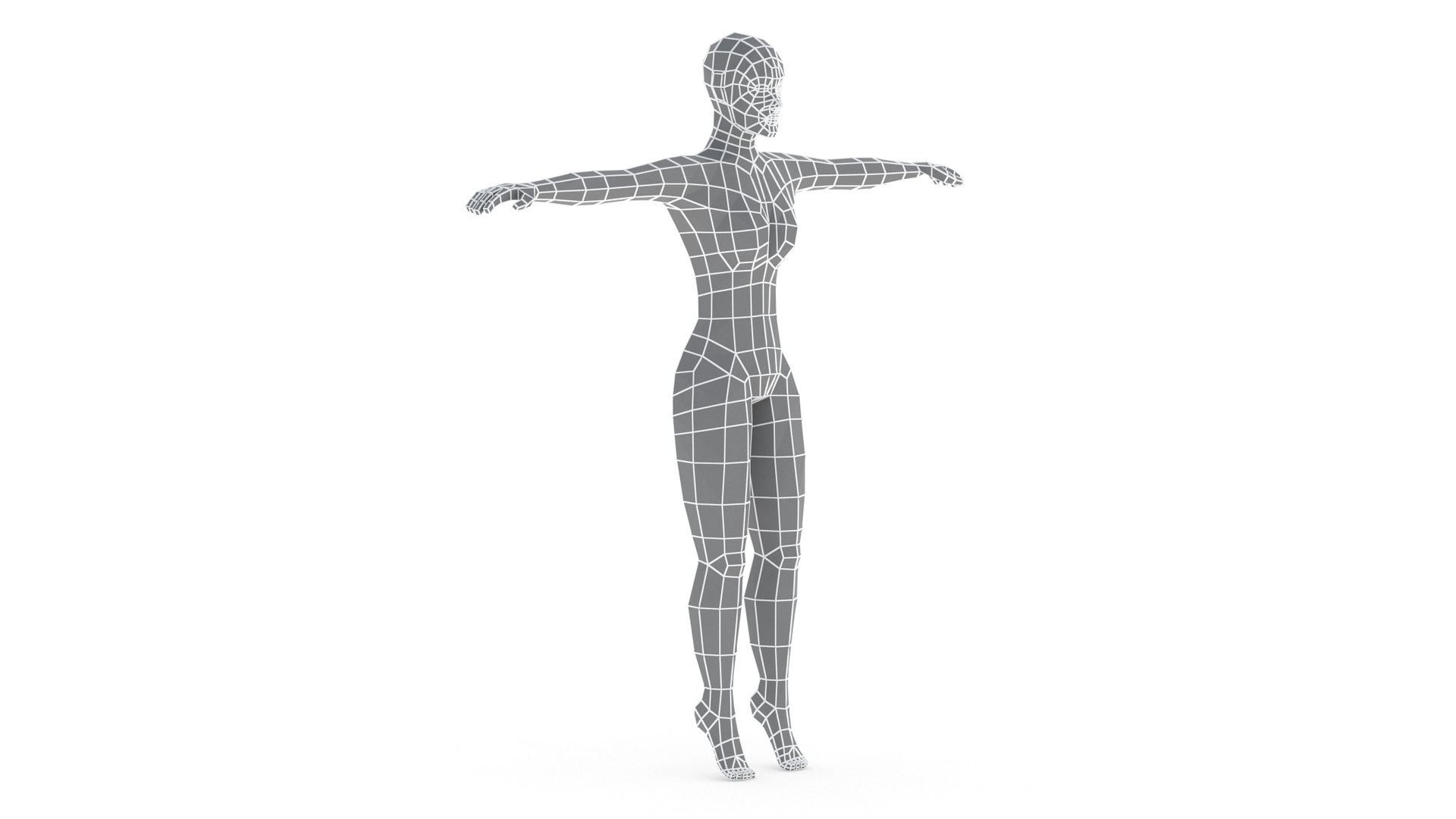 Base Mesh Female Male Model - TurboSquid 1539834
