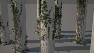 ivy_Columns