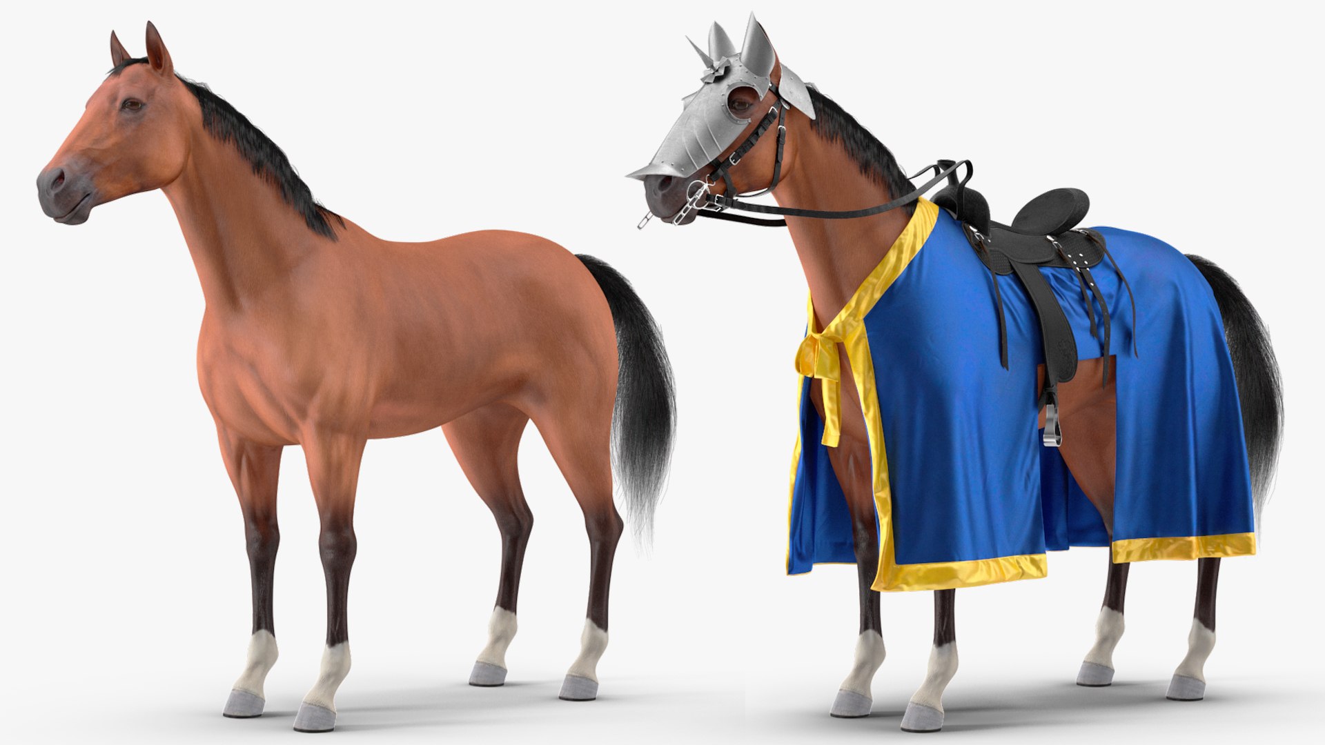 Knight Horse Blanket Fur 3D model https://p.turbosquid.com/ts-thumb/GN/3ZJTyB/zK/knighthorseblanketfur3dsmodel009/jpg/1695442930/1920x1080/fit_q87/cced514f063db0a95292ab2ef14b3992f4aecabb/knighthorseblanketfur3dsmodel009.jpg
