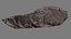 3D Essential Scanned Rock 17 model