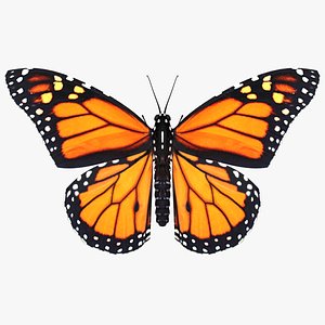 realistic monarch butterfly 3D model