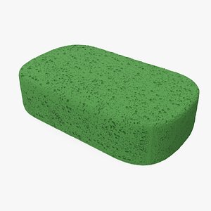 3D car wash sponge model