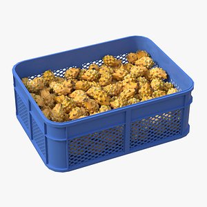 Dragon Fruit Yellow Plastic Crate model