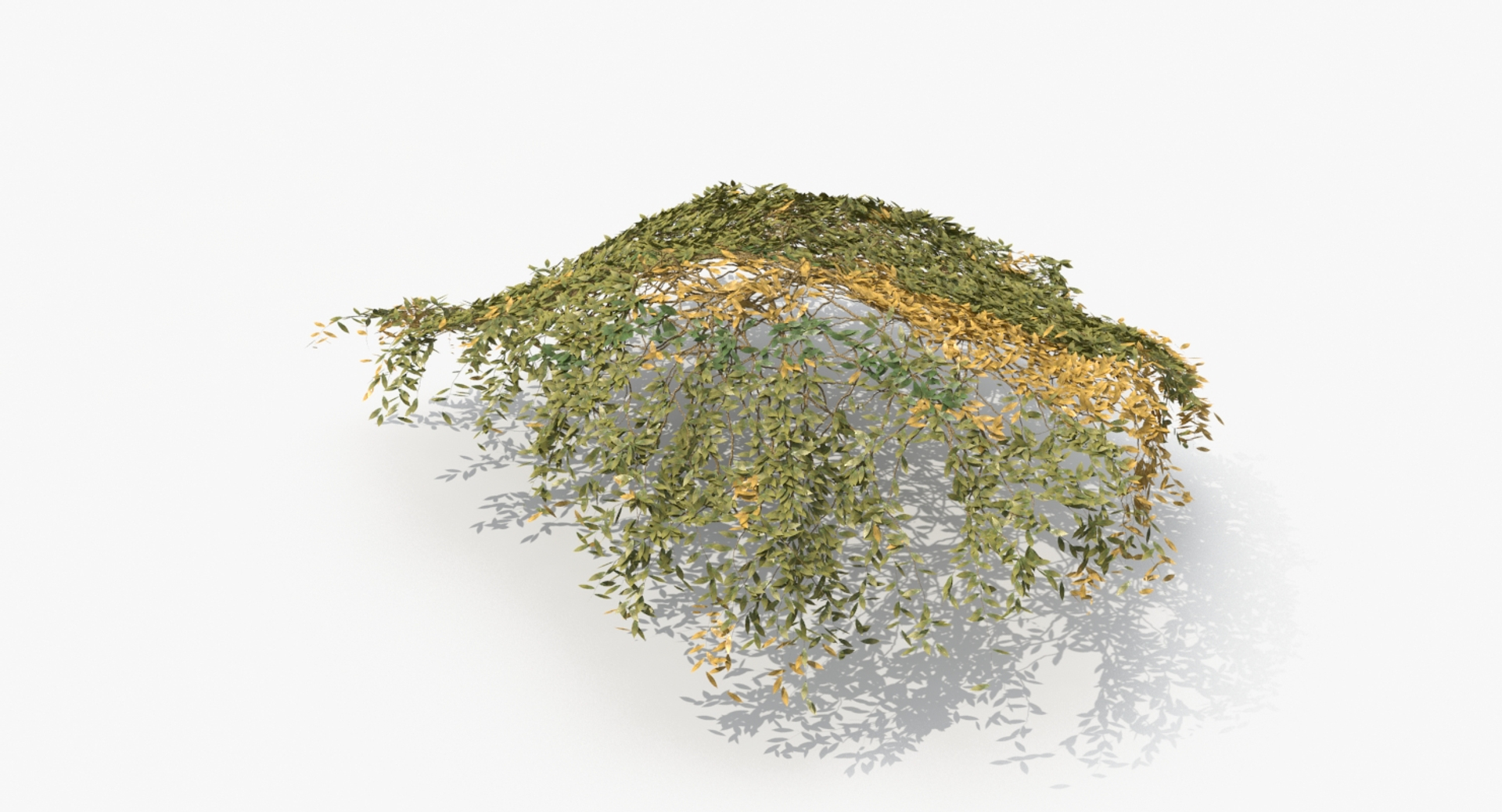 ivy 03 model https://p.turbosquid.com/ts-thumb/GN/PLVJua/3553Rl2l/ivyp317_turnable/jpg/1556478166/1920x1080/turn_fit_q99/683653c32dd2b8b432ee0a718368f9e597ab4951/ivyp317_turnable-1.jpg