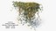 Mixed Ivy Bundle 03