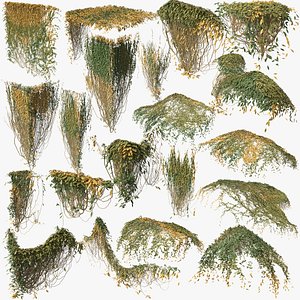 Mixed Ivy Bundle 03