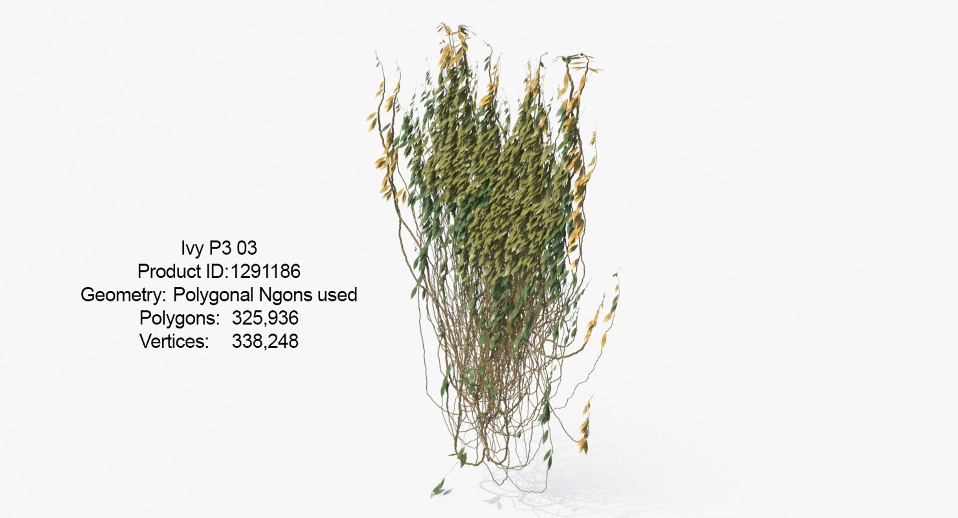 ivy 03 model https://p.turbosquid.com/ts-thumb/GN/PLVJua/yT917cLe/p3_v2_03/jpg/1556478678/1920x1080/fit_q87/6eefd7b8de4c88150182c92d091dfc820b18ba86/p3_v2_03.jpg