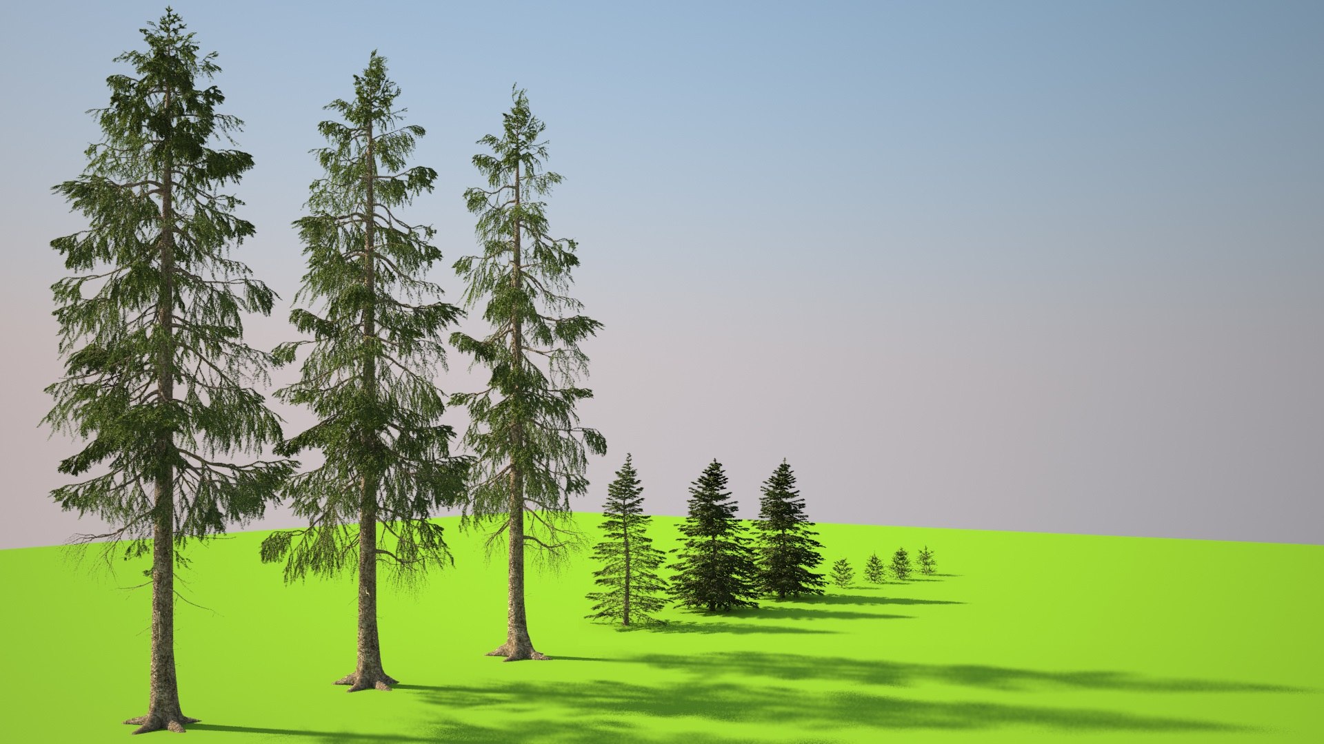 Obj Picea Abies Norwegian Spruce