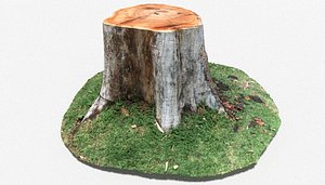 tree stump nature 3D model