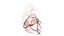 3D Human Heart v2 Animated model